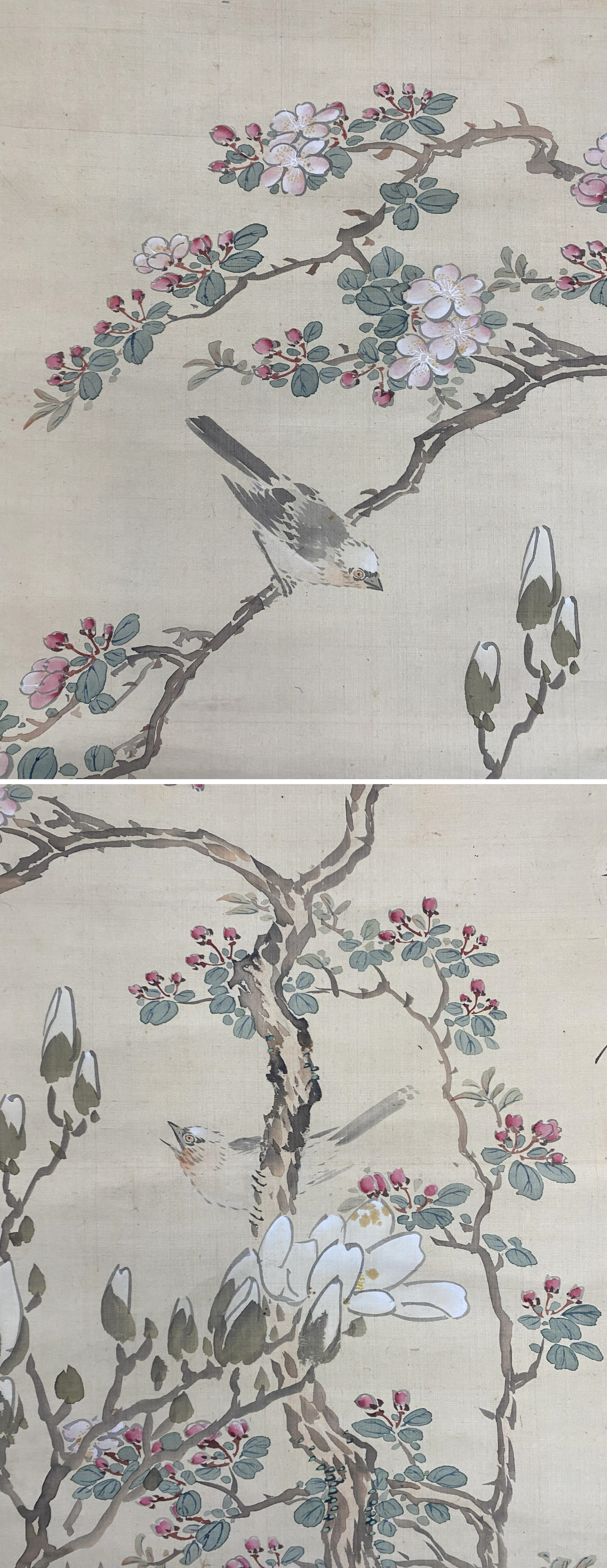 中国古美術 宋代 李迪款 花鳥画 絹布 肉筆 唐物 書道 水墨画 掛け軸 文房 中国古美術.清時代.?廷錫款.花鳥図.宣紙画.三尺手描き.肉筆.掛け軸