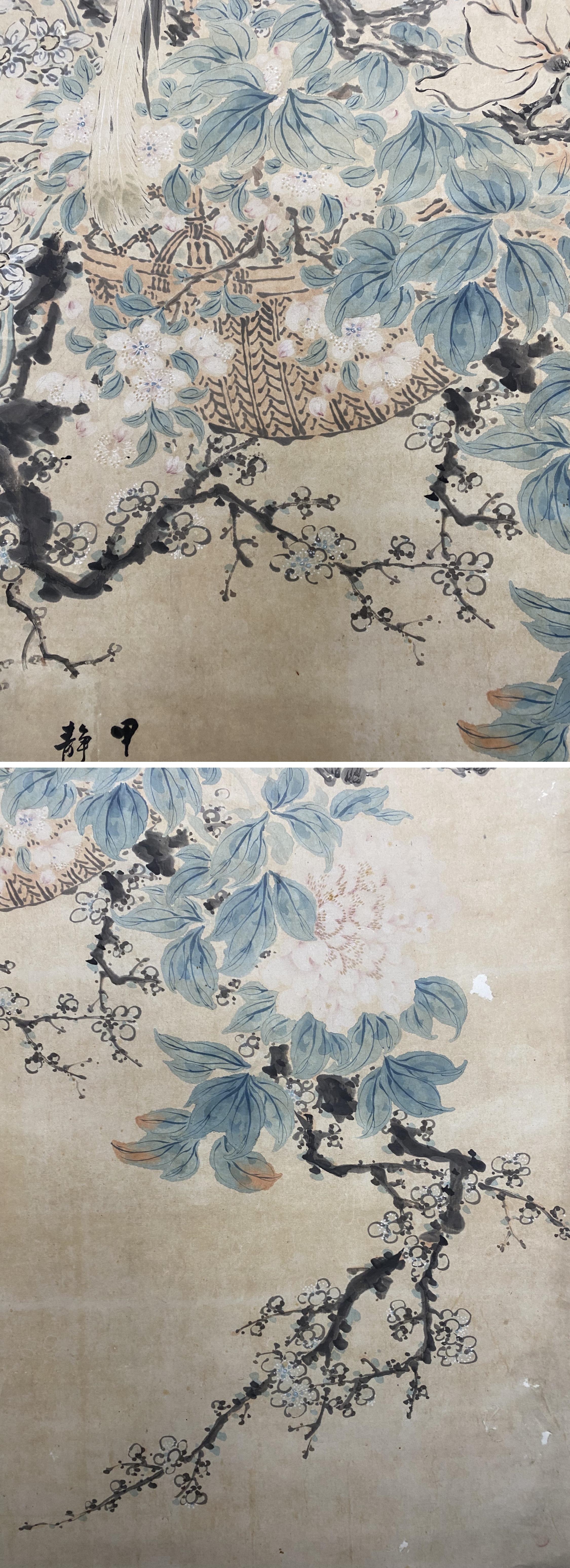 此商品圖像無法被轉載請進入原始網查看